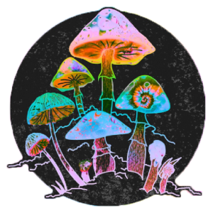 Mushroom Garden