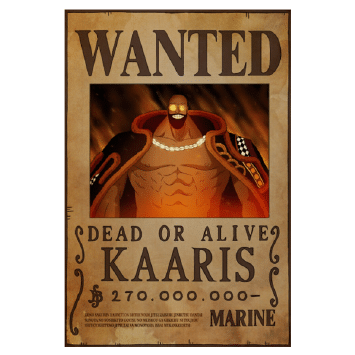 Wanted KAARIS